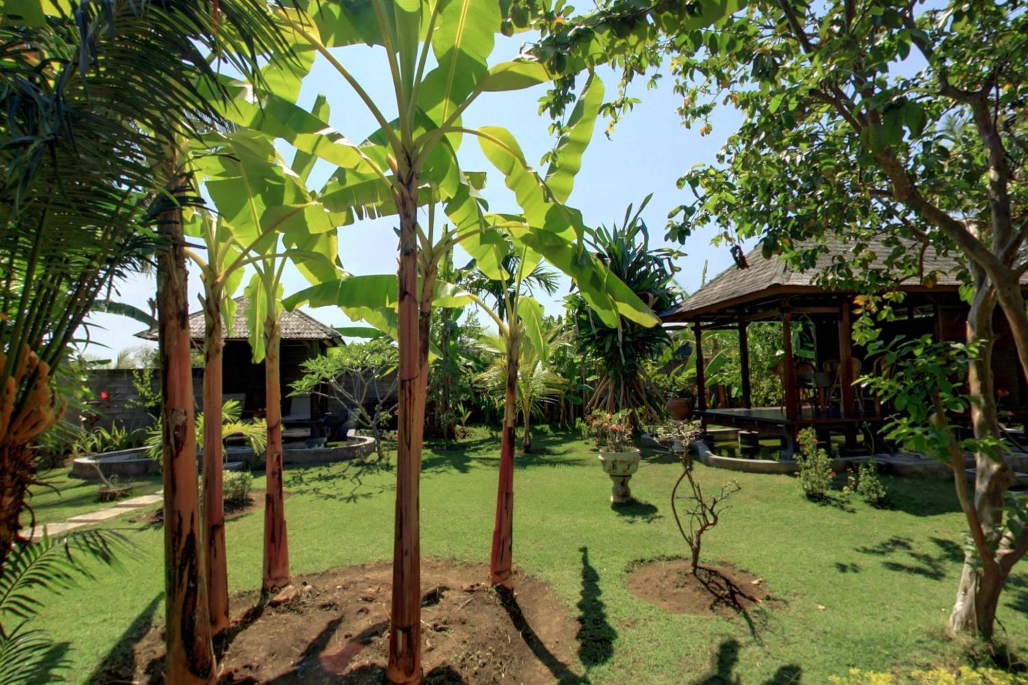 Sawah Lovina Hotel Exterior photo